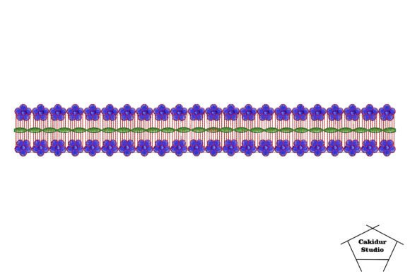 Stack Flowers Border Review for Holiday Collections
